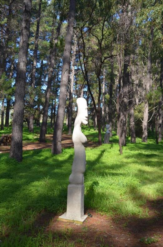 Bella Cosa Villa Mclaren Vale Eksteriør billede
